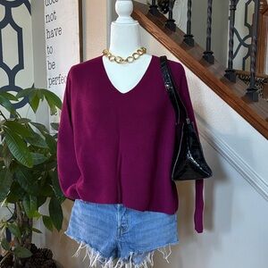 Eileen Fisher Beautiful & Classy Women's V-Neck Ribbed Sweater 🤩